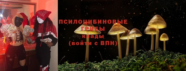 индика Осинники